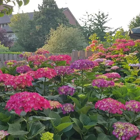 The Vorbner 게스트하우스